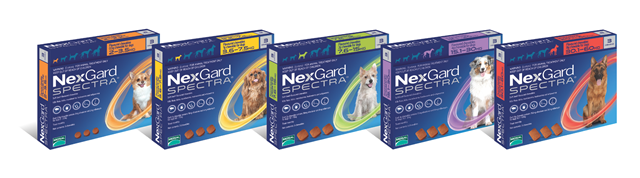 mal_NexGard_Spectra_3pack_group